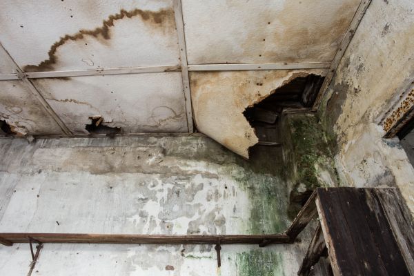 Cost of Water Damage Service in Georgetown