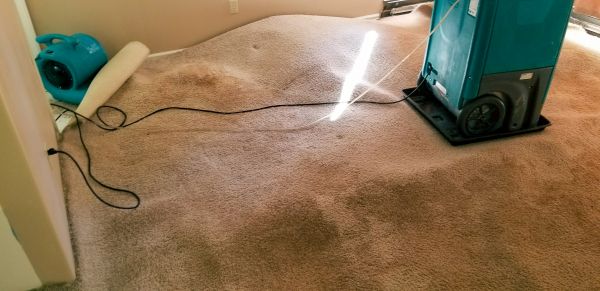 Cost of Flood Damage Cleanup in Georgetown