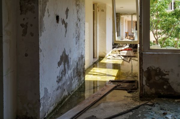 Cost of Water Removal Service in Georgetown