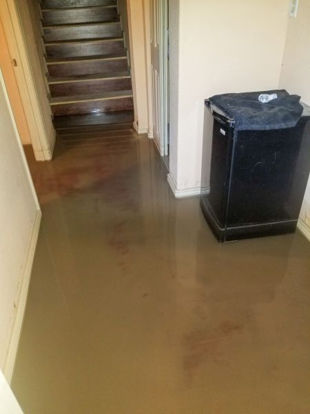 Cost of Emergency Water Removal in Georgetown